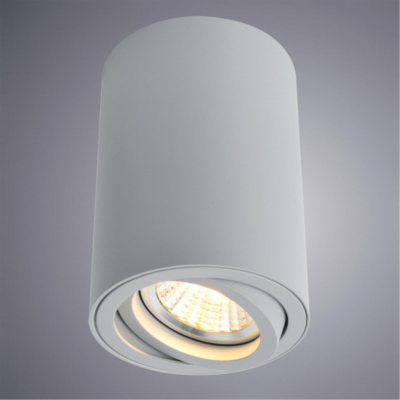 Arte Lamp SENTRY A1560PL-1GY