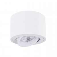 ARTE LAMP UNITO A2260PL-1WH