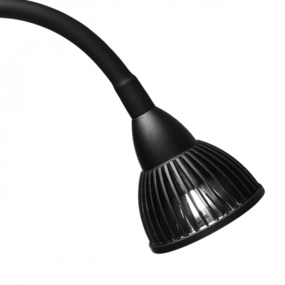 Arte Lamp CERCARE A4107PL-1BK