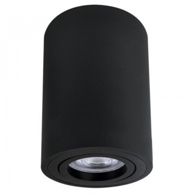 ARTE LAMP SENTRY A1566PL-1BK