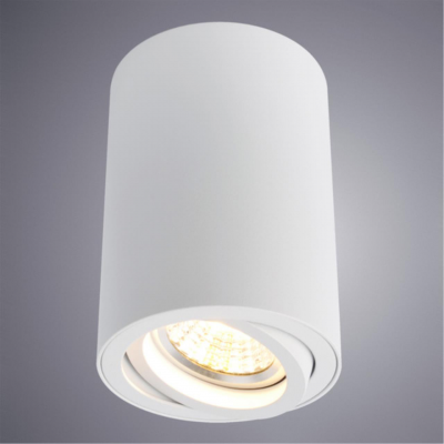 Arte Lamp SENTRY A1560PL-1WH