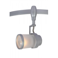 Arte Lamp RAIL HEADS A3056PL-1SI