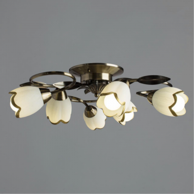 Arte Lamp PERCE A6061PL-6AB