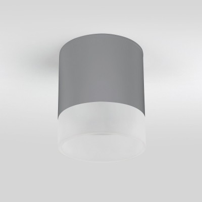 Уличный потолочный светильник Light LED 2107 IP54 35140/H серый Elektrostandard