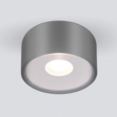 Уличный потолочный светильник Light LED 2135 IP65 35141/H серый Elektrostandard