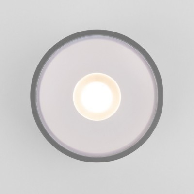 Уличный потолочный светильник Light LED 2135 IP65 35141/H серый Elektrostandard
