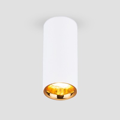 Накладной акцентный светодиодный светильник DLR030 12W 4200K белый матовый/золото Elektrostandard