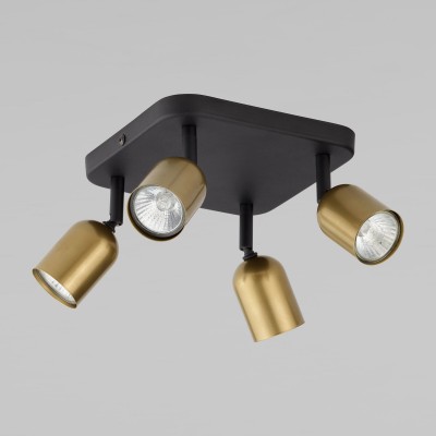 Потолочный светильник 3307 Top Black Gold TK Lighting