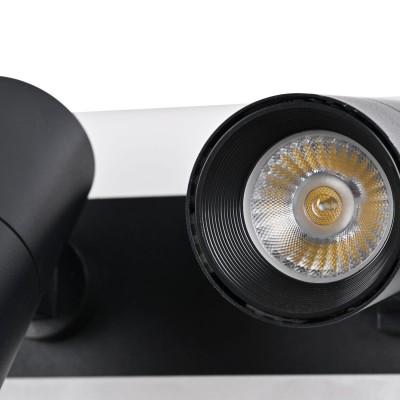 Потолочный светильник Favourite 4079-2C