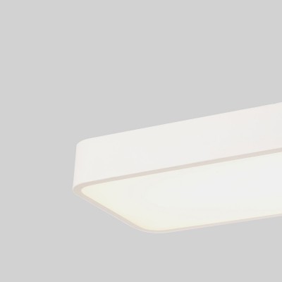 Потолочный светильник Favourite 4078-1C