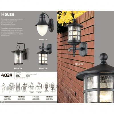 Уличный настенный светильник Odeon Light HOUSE 4039/1W