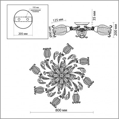 Люстра потолочная Odeon Light AMELI 2252/8C