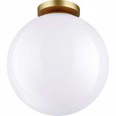 Потолочный светильник для ванной комнаты Odeon Light Bosco 4249/1C