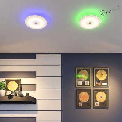 Светодиодный потолочный светильник SONEX ROKI muzcolor 4629/CL