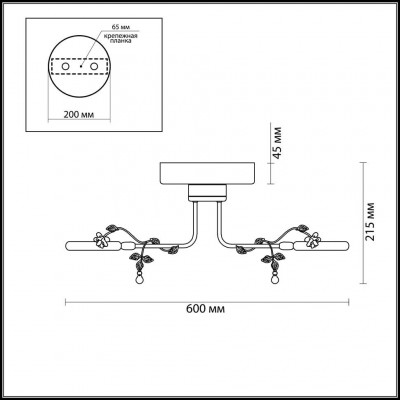 Светодиодная потолочная люстра Odeon Light FIUGGI 4036/48L