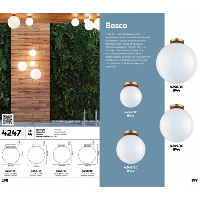 Потолочный светильник для ванной комнаты Odeon Light Bosco 4250/1C