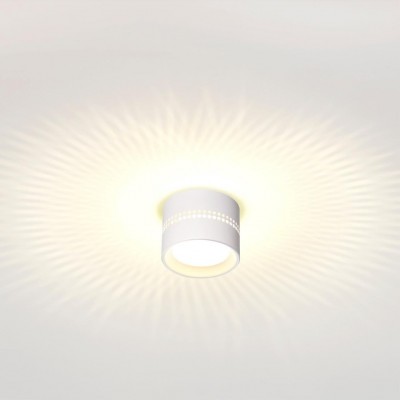 Потолочный светильник Odeon Light Real 6609/1C