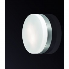 Настенно-потолочный светильник Odeon Light PRESTO 2405/2C