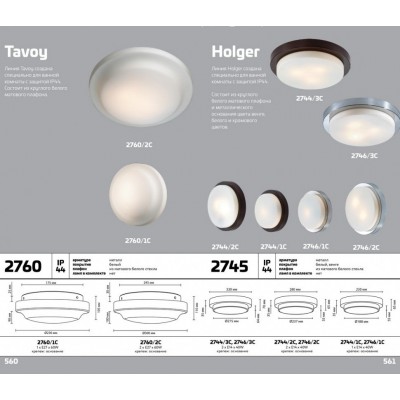 Настенно-потолочный светильник влагозащищённый Odeon Light HOLGER 2746/3C