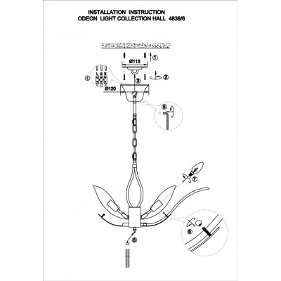 Люстра подвесная Odeon Light Floweri 4838/6