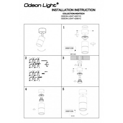 Уличный потолочный светильник Odeon Light Corsus 4208/1C