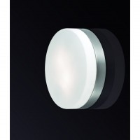 Настенно-потолочный светильник Odeon Light PRESTO 2405/1C