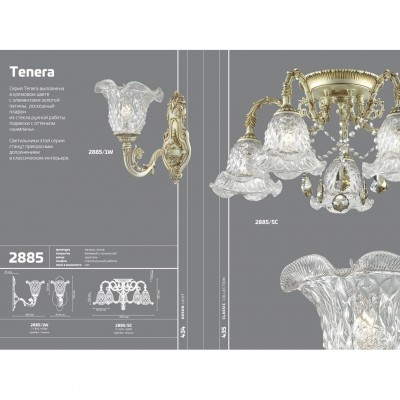 Люстра потолочная Odeon Light TENERA 2885/5C