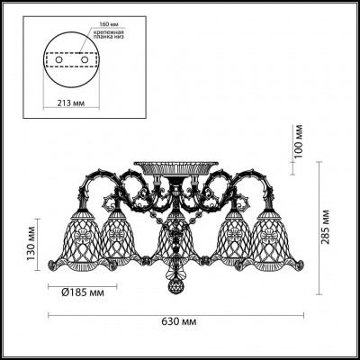 Люстра потолочная Odeon Light TENERA 2885/5C