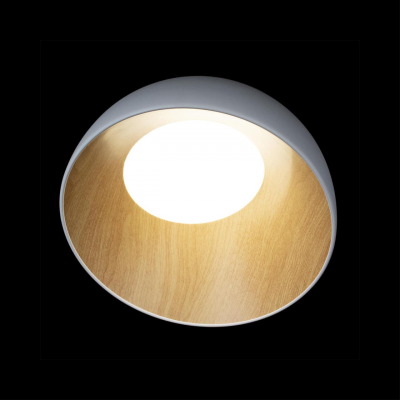 10197/350 White Потолочные светильники LOFT IT Egg