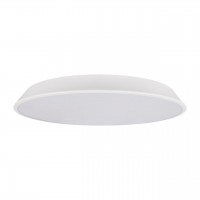 10226 White Потолочный светильник LOFT IT Brim