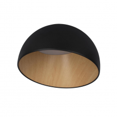 10197/350 Black Потолочные светильники LOFT IT Egg