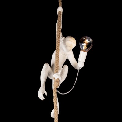 10314P Подвесной светильник LOFT IT Monkey