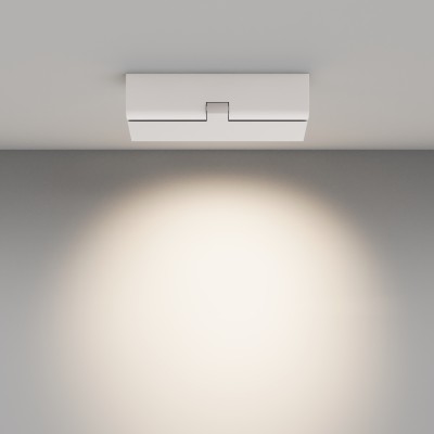 Потолочный светильник Technical C136CL-12W4K-W