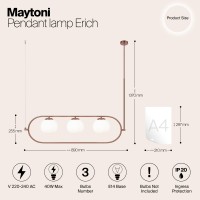 Подвесной светильник Maytoni Erich MOD221PL-03BS