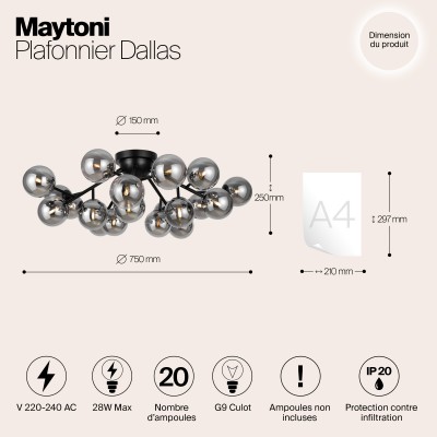 Потолочный светильник Maytoni Dallas MOD545CL-20B