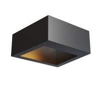 Настенный светильник (бра)  Maytoni Outdoor Cont O464WL-L18GF3K