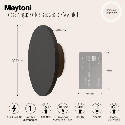 Архитектурная подсветка  Maytoni Outdoor Wald O420WL-L12GF