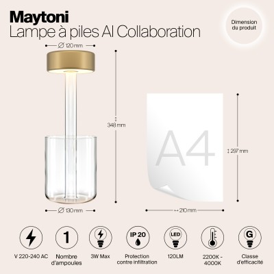 Аккумуляторный светильник Maytoni AI Collaboration MOD229TL-L3G3K1