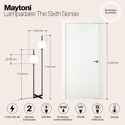 Напольный светильник (торшер) Maytoni The Sixth Sense Z020FL-L12BK