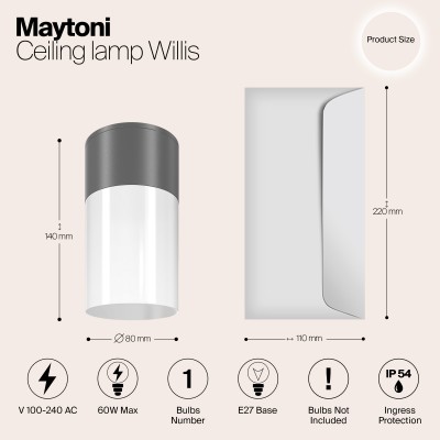 Потолочный светильник  Maytoni Outdoor Willis O418CL-01GR