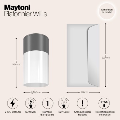 Потолочный светильник  Maytoni Outdoor Willis O418CL-01GR