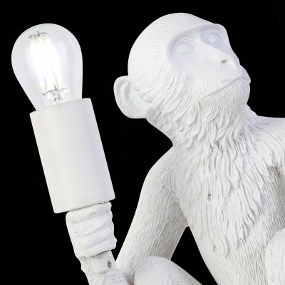 Прикроватная лампа EVOLUCE SLE115104-01